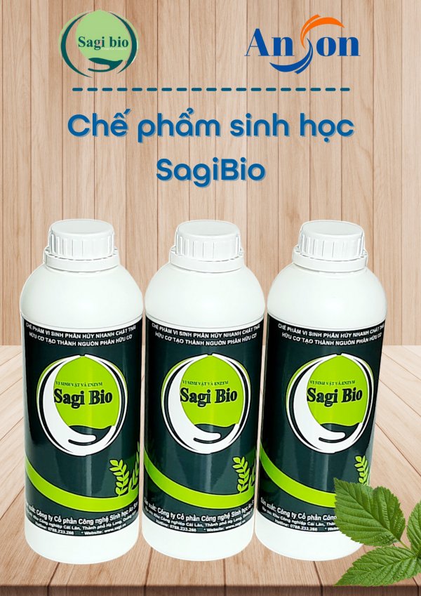 CHẾ PHẨM SINH HỌC Ủ PHÂN HỮU CƠ SAGI BIO - Ảnh 6
